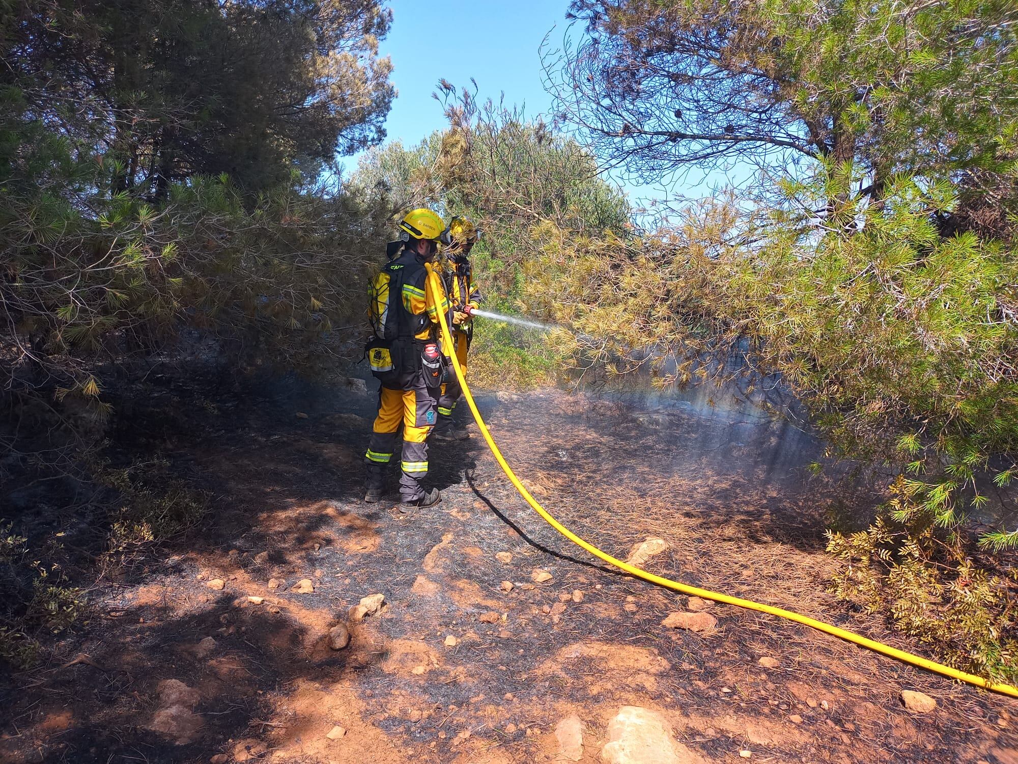 La gran calor d'aquests dies ha facilitat que els matolls s'incediessin.