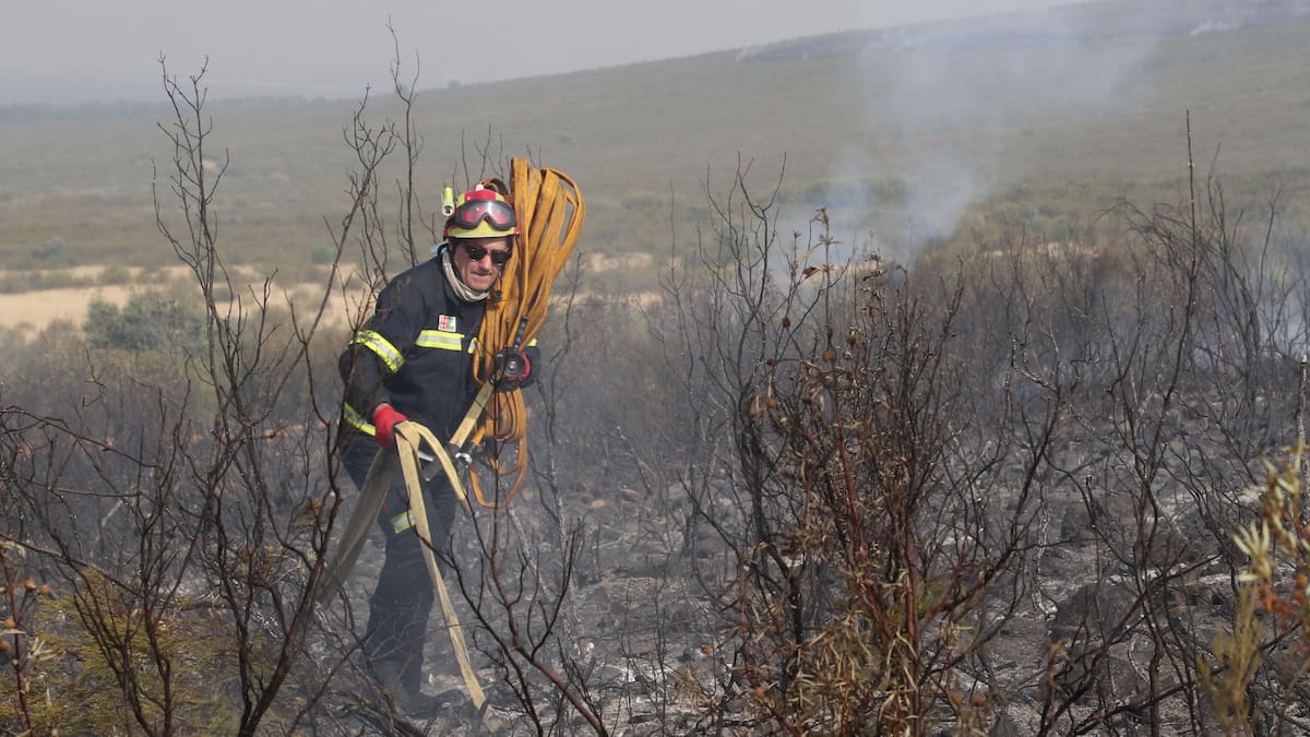 El incendio de Molezuelas se cobra su segunda vida en León