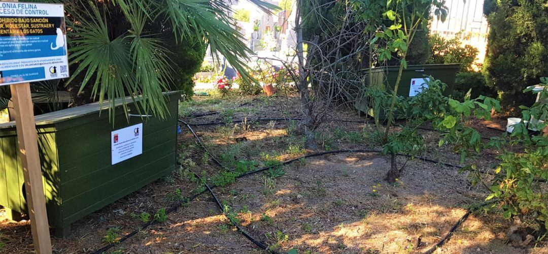 Se localizan en el jardín interior de la biblioteca Miguel de Cervantes, la Ciudad Deportiva Juan Antonio Samaranch, el Parque de los Héroes, el cementerio de Santa Ana, la residencia Virgen de los Remedios y la avenida de San Agustín