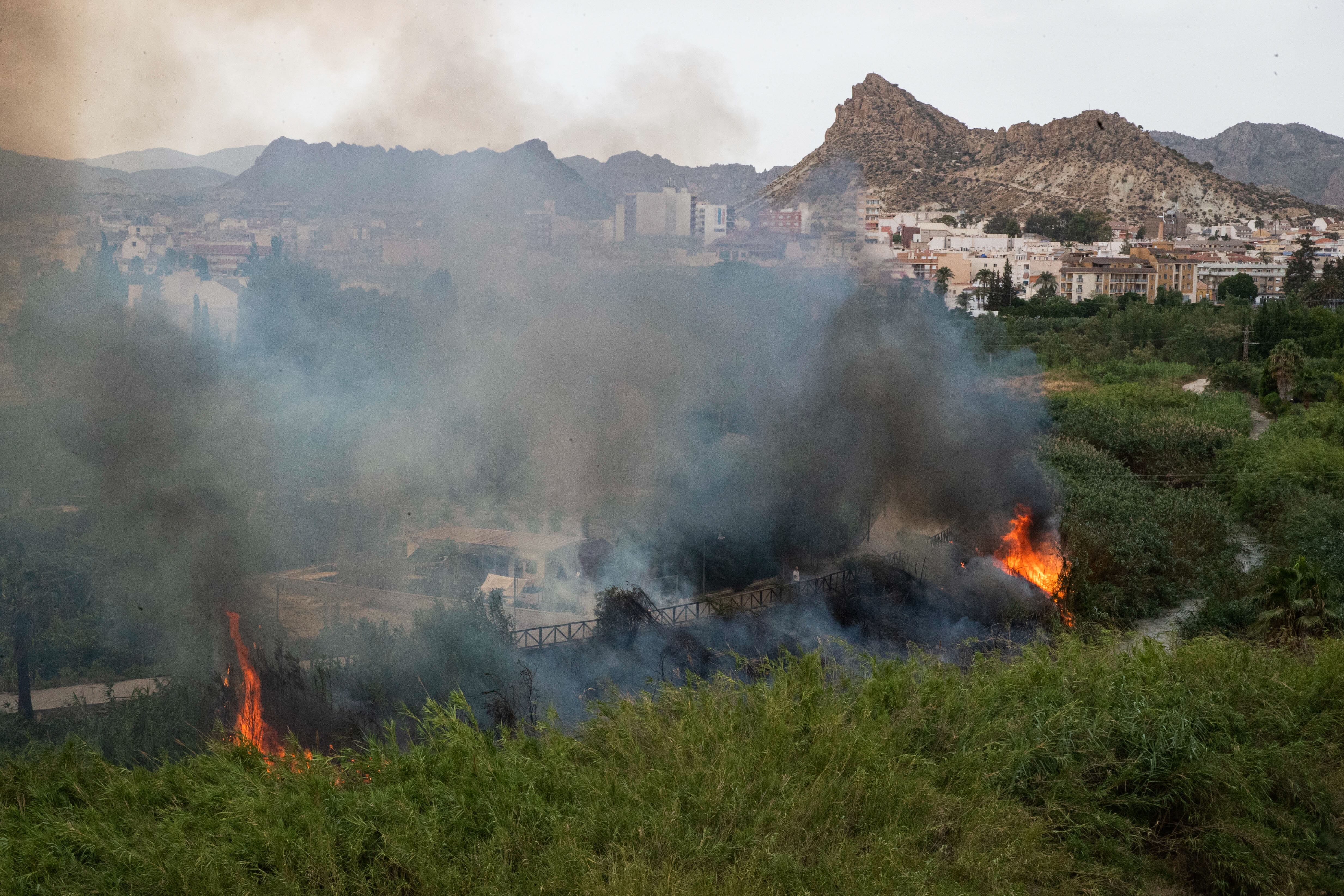 Incendio en el municipio de Archena donde los servicios de emergencia han sofocado cinco focos de incendios que afectan a los márgenes del río Segura