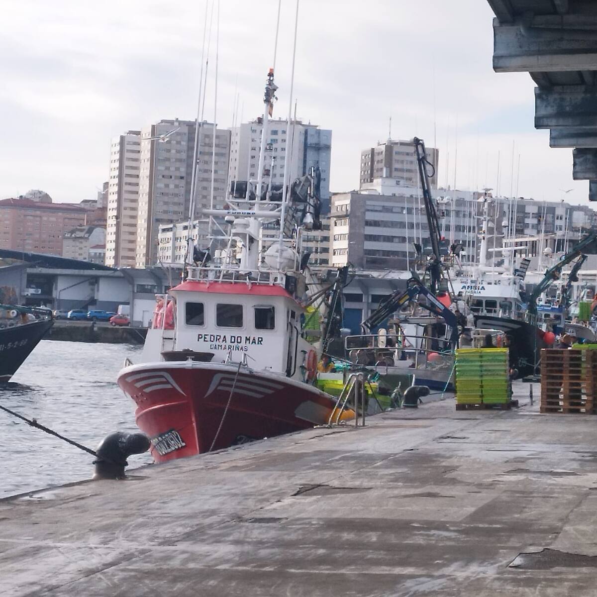 Mejora la actividad de la lonja de A Coruña en la segunda mitad de la campaña