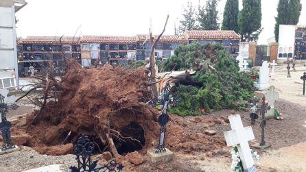 El cementerio de Longares ha sido otro de los lugares afectados