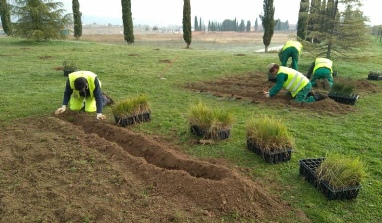 Jardineros trabajando en la primera fase de la plantación