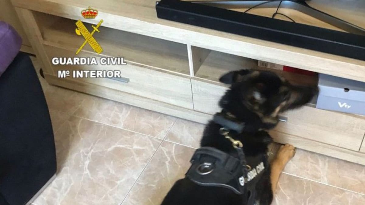 Detidos seis veciños de Carballo por venda de droga no municipio