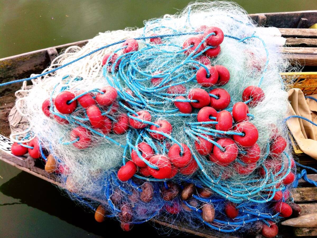 El coronavirus afona al sector pesquer