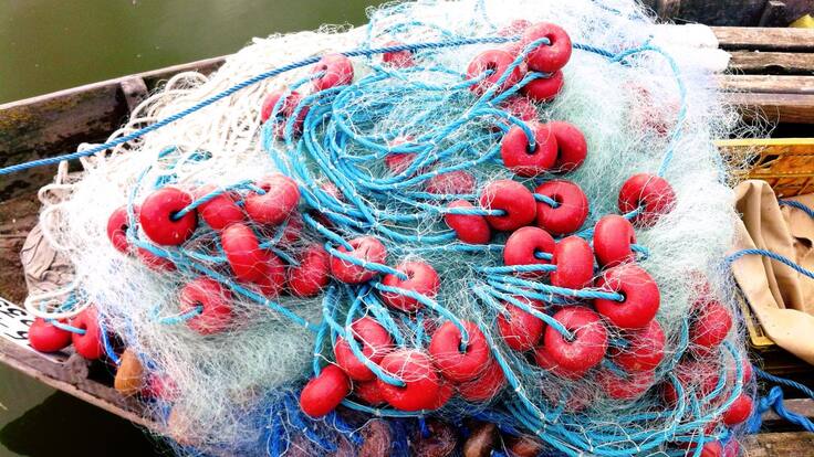 La llavor (11/04/2020)