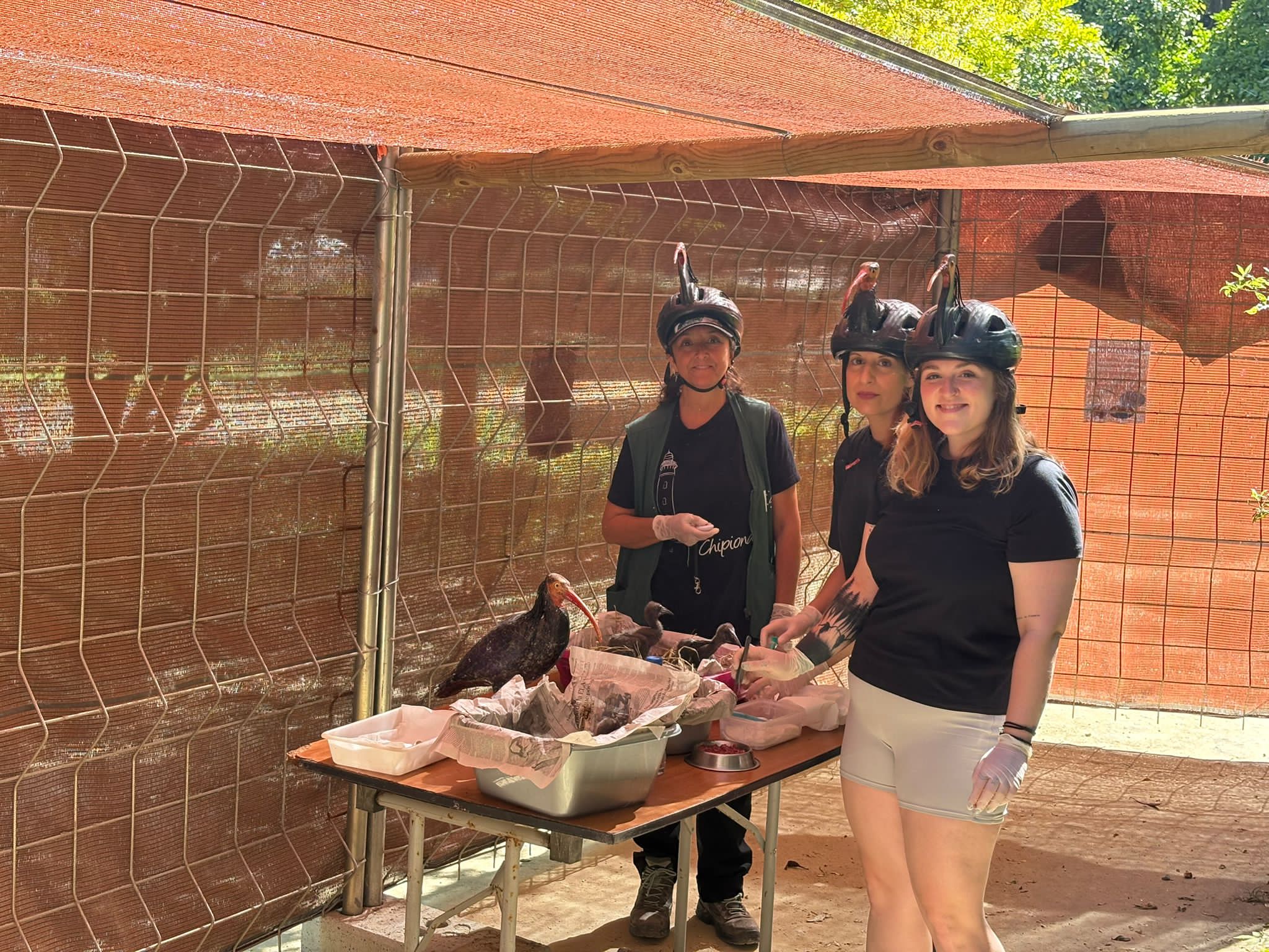 Cuidadores de los ibis eremitas en el Zoo de Jerez