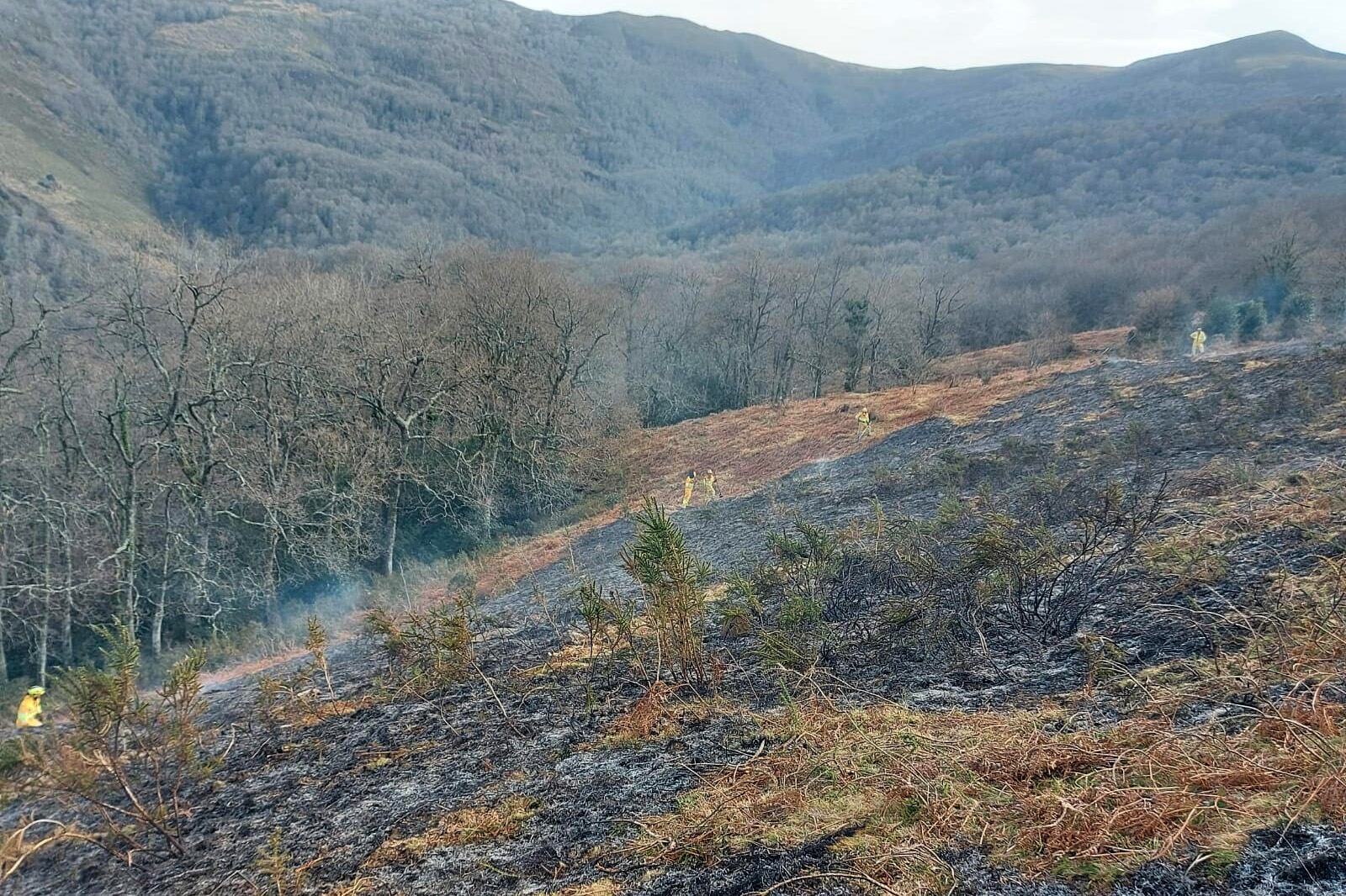 Incendio provocado en el monte Canales de Silió, en Molledo.