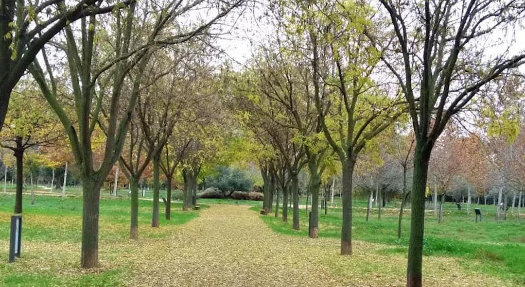 Parque Arboreto Reyes Católicos