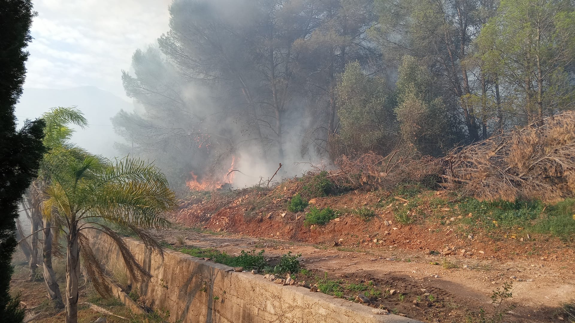 Imagen de las llamas del incendio en el término de Villalonga. 