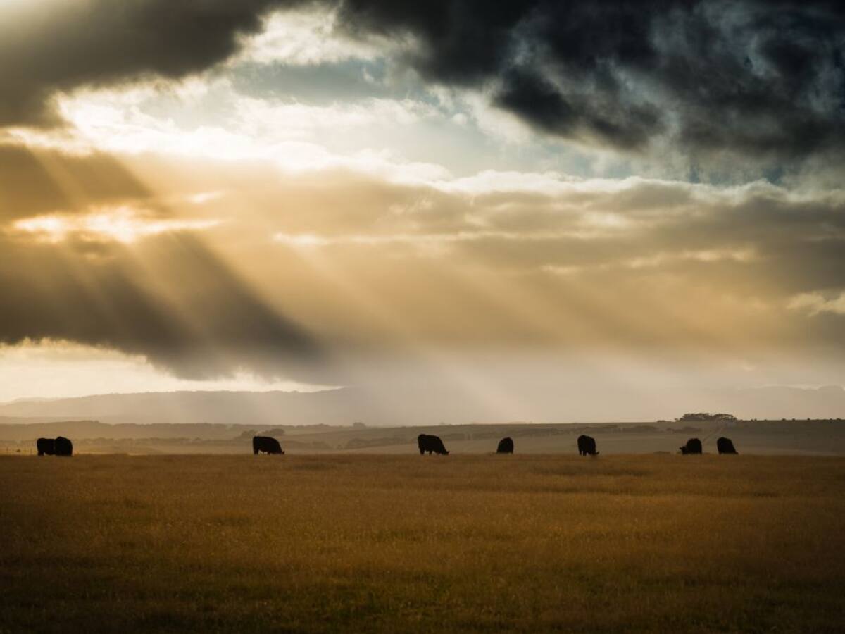 La Diputación y el Itagra ofrecen tres jornadas formativas sobre agricultura y ganadería