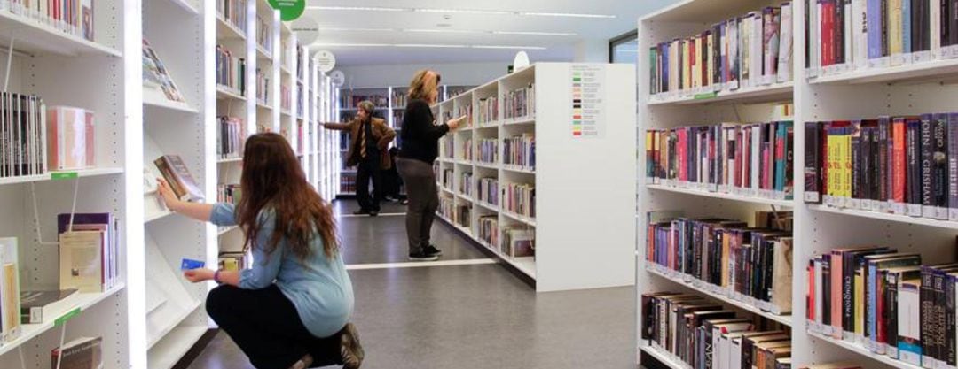 Biblioteca de los Rosales