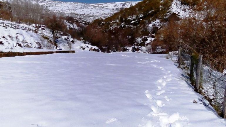 Imagen de la Montaña Palentina