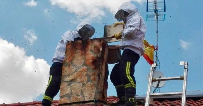 Bomberos de la Comunidad de Madrid en la extracción de abejas