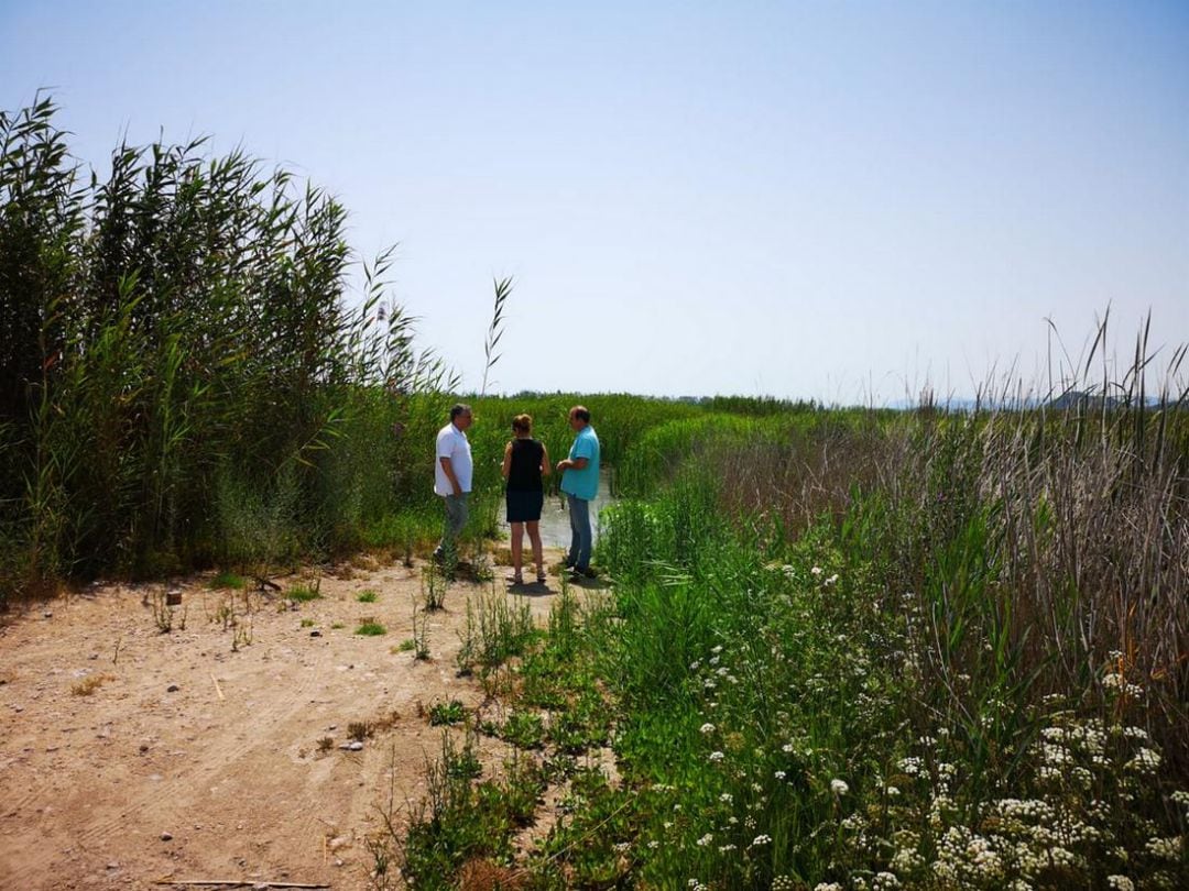 La Marjal de Xeresa es una de las zonas húmedas más importantes de Valencia.