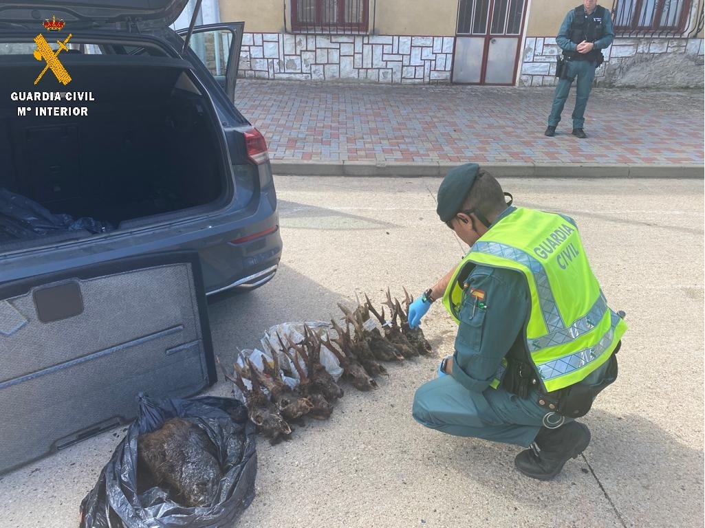 Denunciado un furtivo en la provincia de Palencia