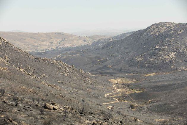 Zona arrasada por las llamas