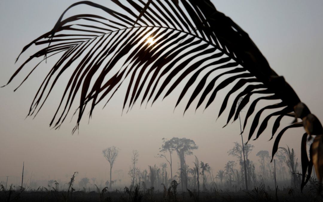 FOTOGALERÍA | Parte de la jungla del Amazonas quemada, a la altura de Porto Velho (Brasil).