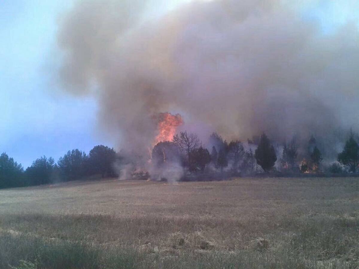 La Junta coordina la campaña de lucha contra incendios forestales en Soria