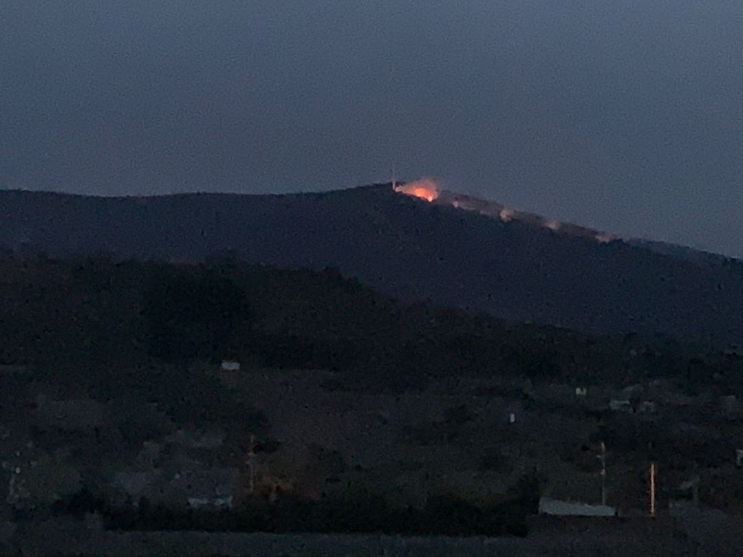 El incendio se extendió por un pinar La Mallarina