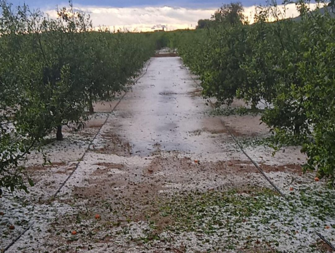 Las tormentas y el granizo dejan daños importantes en numerosos cultivos de la provincia de Castellón