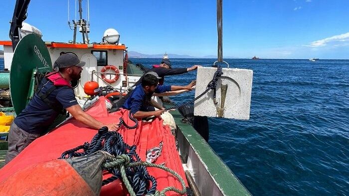 Imagen de los trabajos