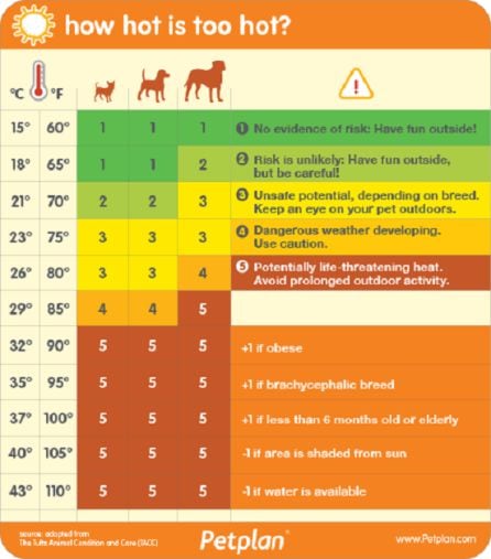 El gráfico muestra cómo afecta el calor a nuestros compañeros.