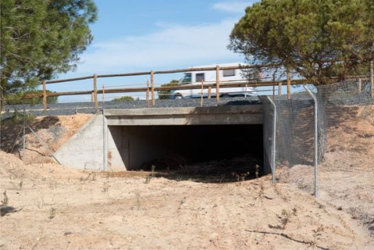 Ecoducto en Doñana, túnel subterráneo.