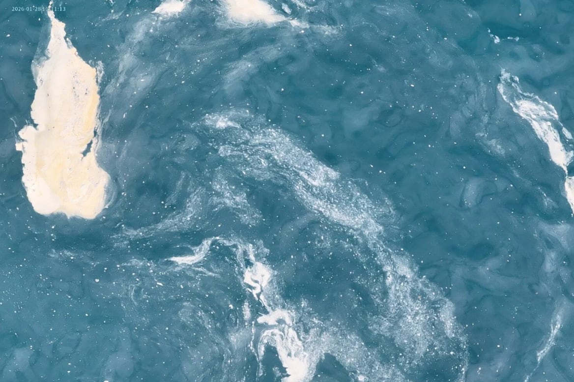 Manchas en la costa de Telde. X, Ayuntamiento de Telde