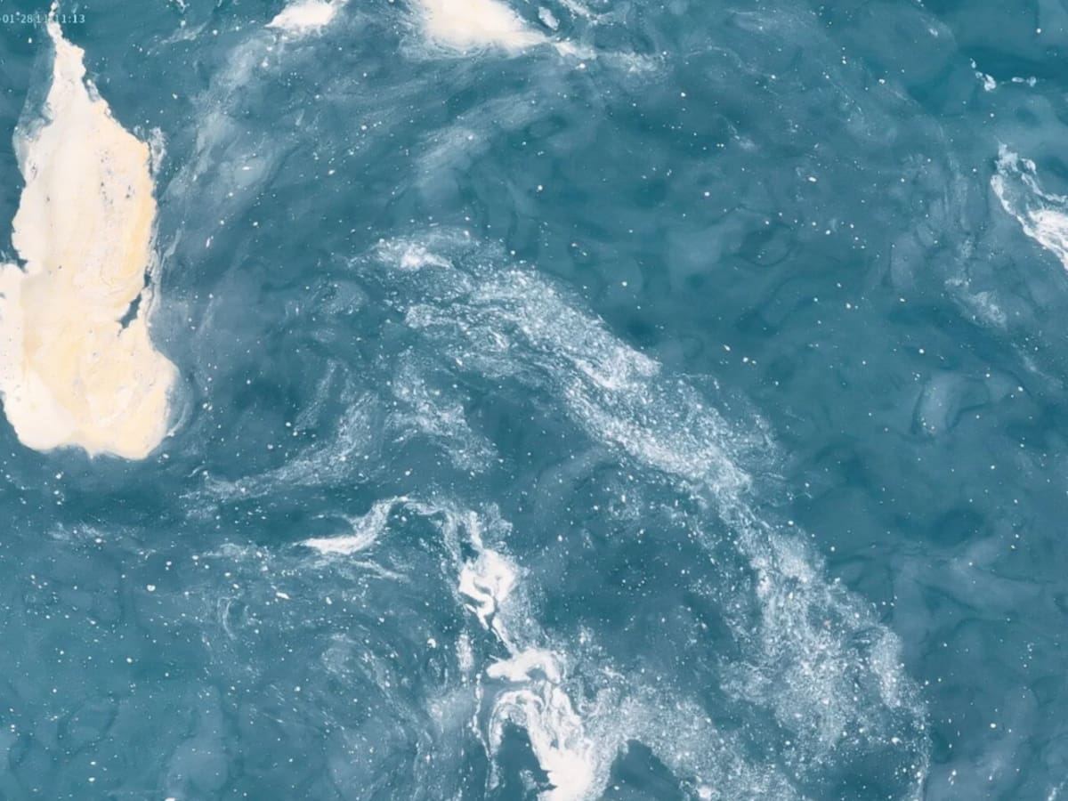 Medios internacionales se hacen eco de la contaminación marina de Telde