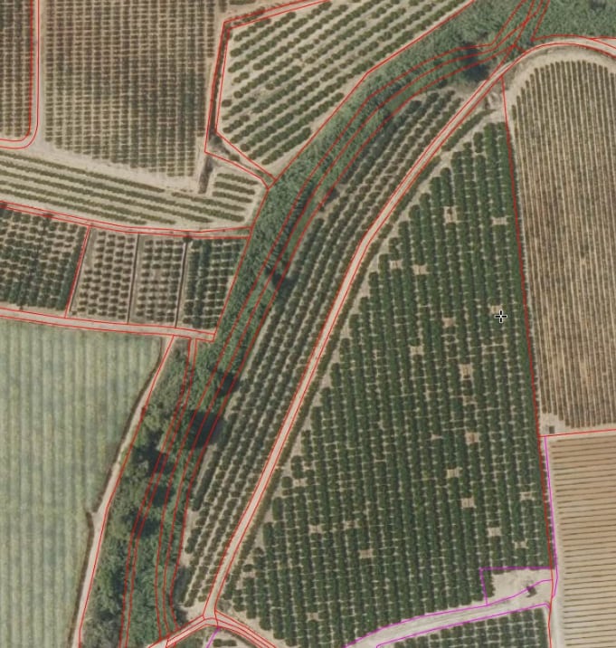 La parcela d'Ernesto Navarro abans la DANA