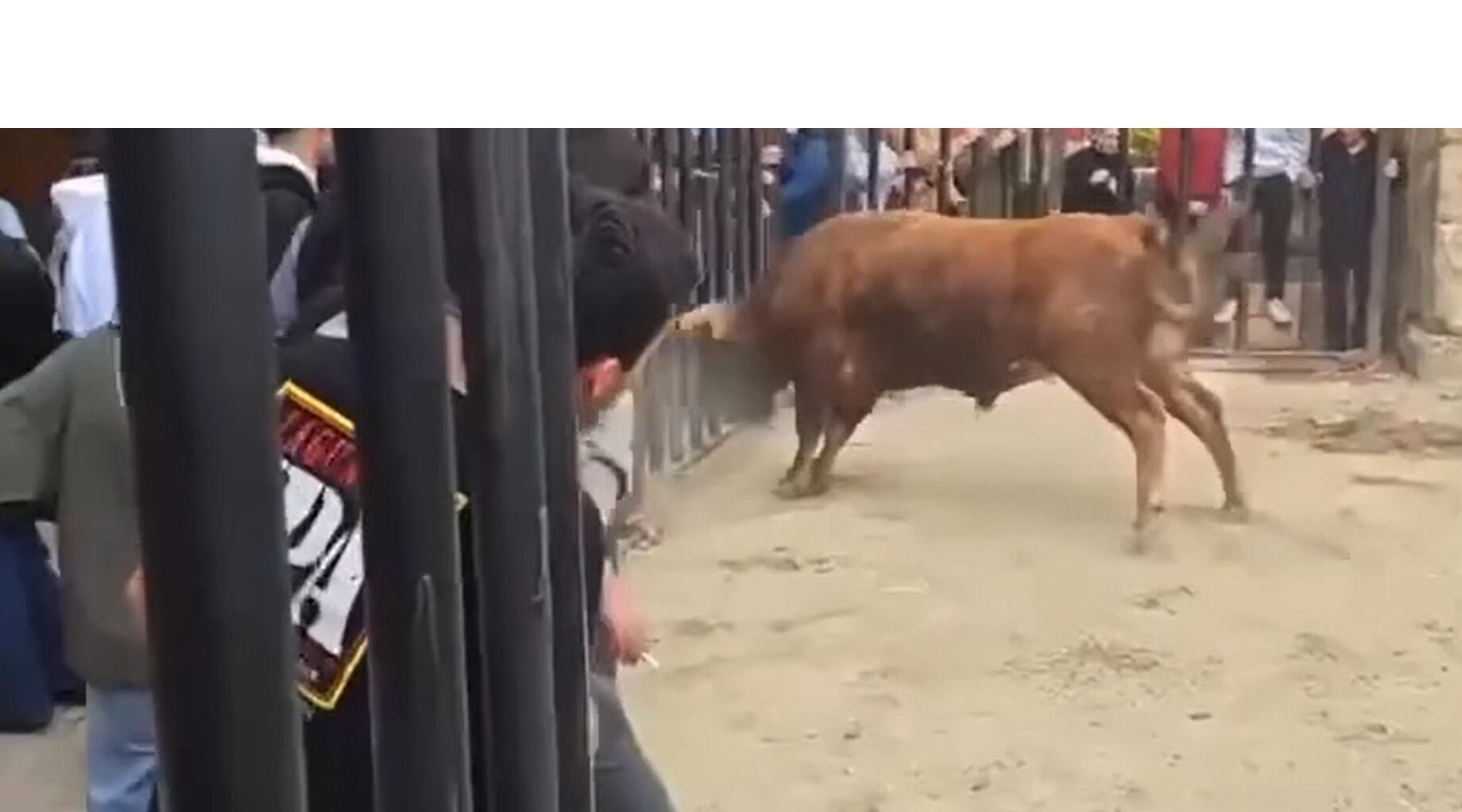 El toro, en el momento de abrir la valla