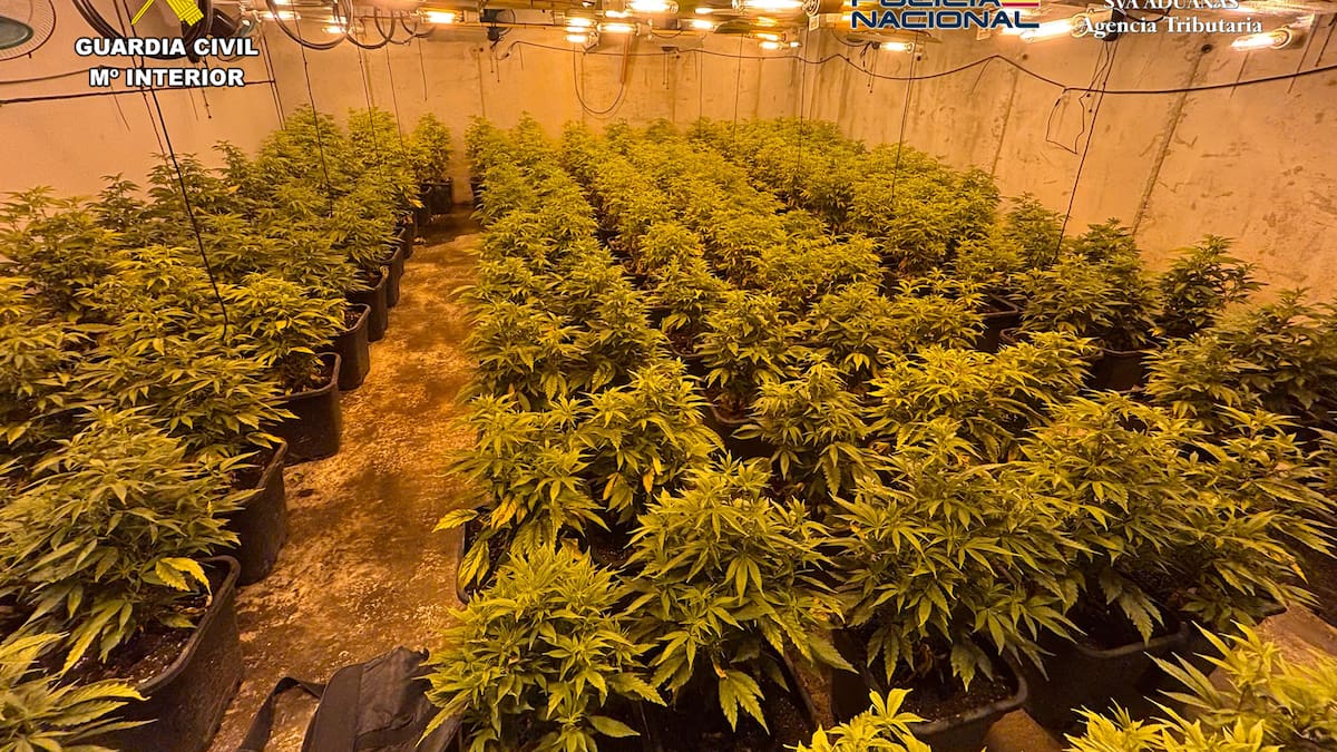 Desmantelada en Murcia una organización criminal dedicada al tráfico de drogas