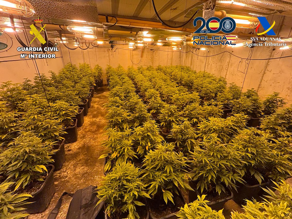 Desmantelada en Murcia una organización criminal dedicada al tráfico de drogas