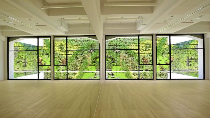 Jardín Vertical más grande de Europa está en Santander (01/02/2021)