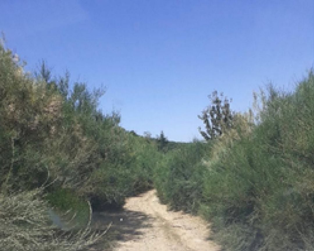 Tramo de la ruta entre Villanueva y San Clemente, el Bierzo.