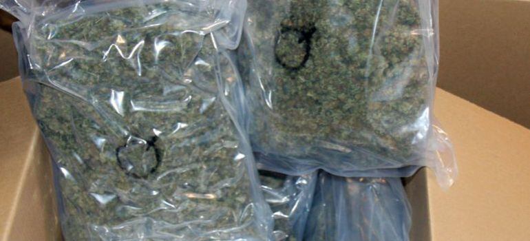 Más de 4 kilos de drogas se destruyeron al día en 2017