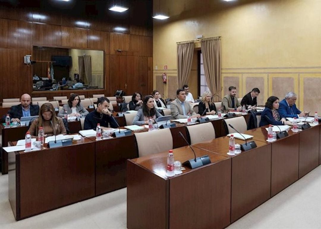 Miembros de la comisión de Hacienda, Industria y Energía, en el Parlamento de Andalucía