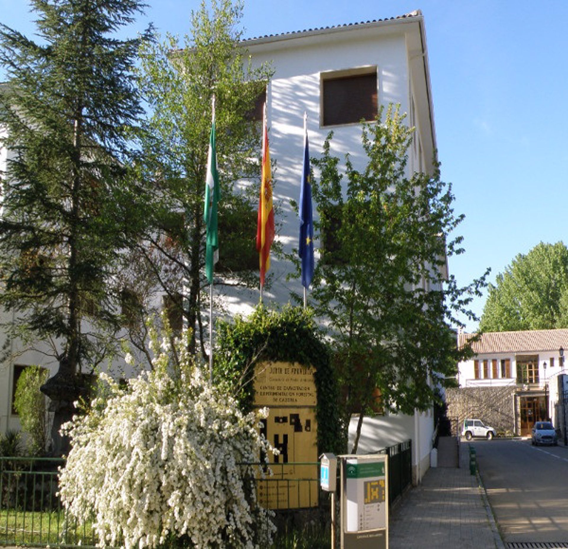 Archivo - Centro de Capacitación y Experimentación Forestal de Vadillo-Castril. - JUNTA DE ANDALUCÍA - Archivo