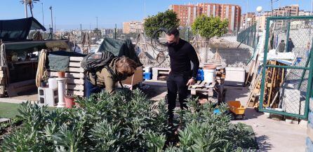 El edil rafa Mas (de negro) en el huerto escolar y al fondo el solar que el AMPA reclamará a Conselleria de Educación