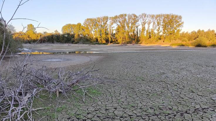 Gorka Belamendia, técnico del Centro de Estudios Ambientales, sobre el desecado artificial de los humedales de Salburua para evitar el botulismo aviar