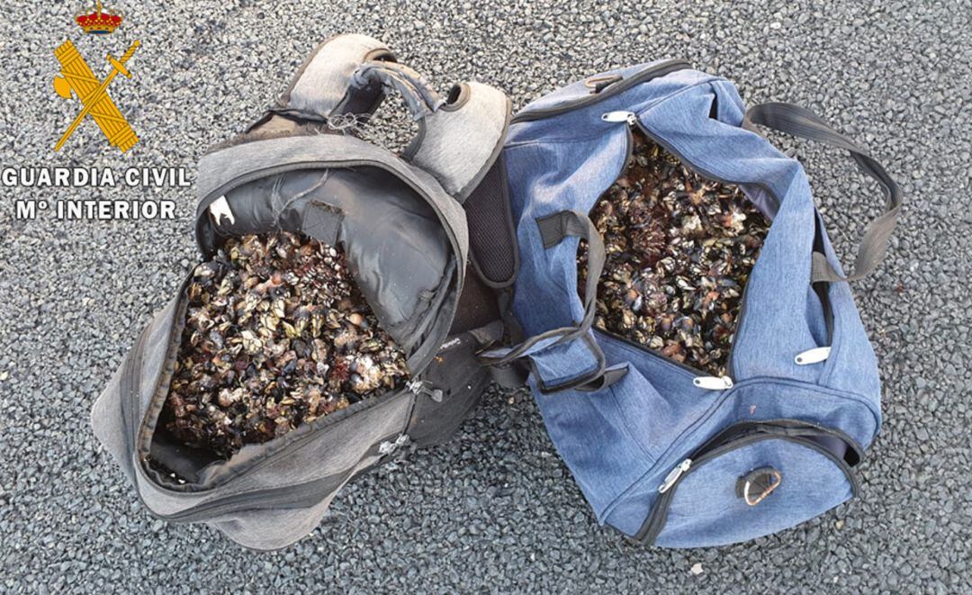 Percebes decomisados.