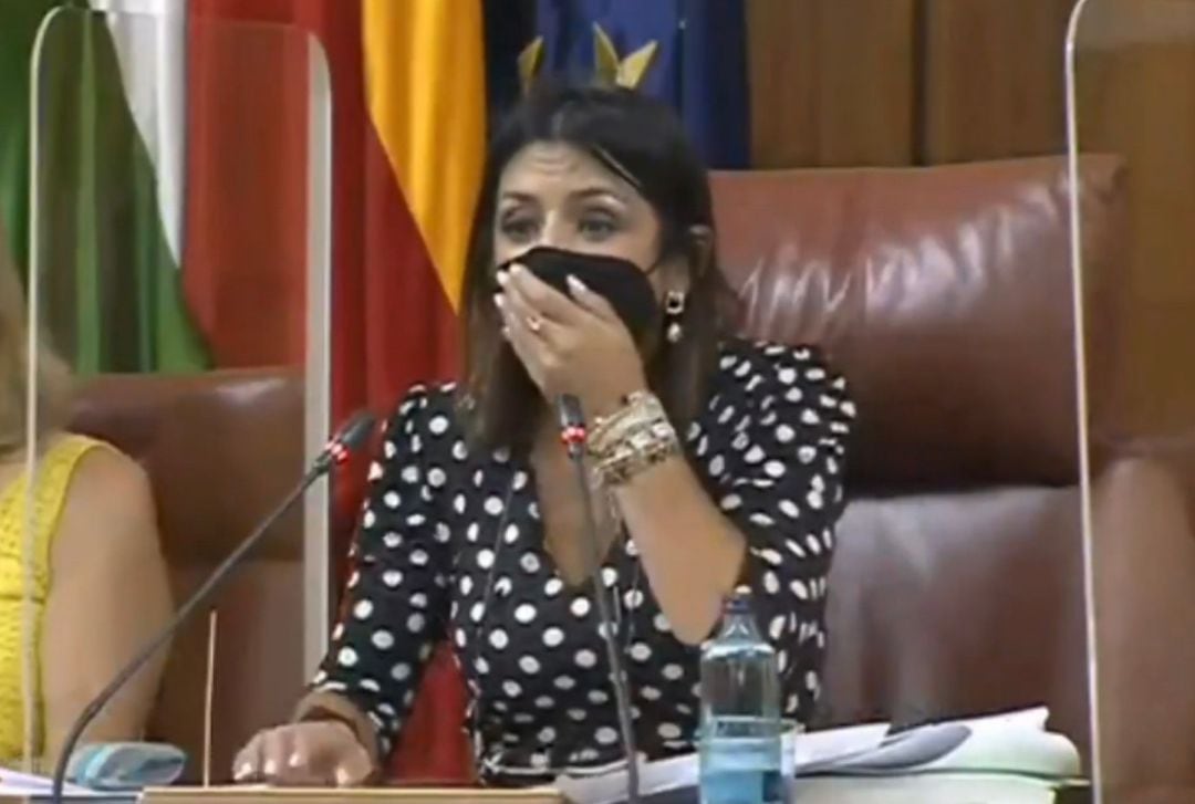 Una rata &quot;enorme&quot; se cuela en el pleno del Parlamento de Andalucía.