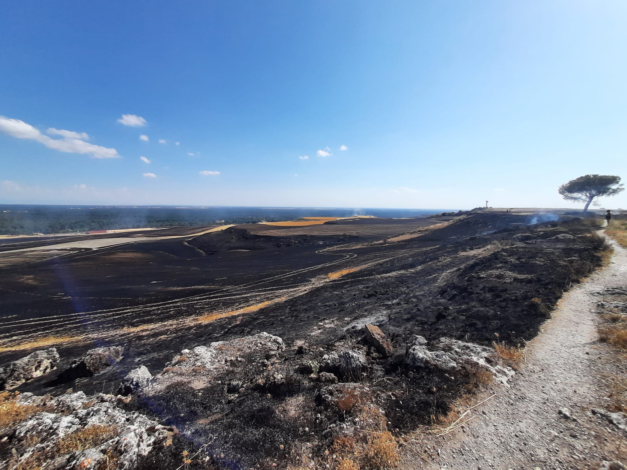 Superficie afectada en el incendio que se originó en la planta de biomasa de Cuéllar