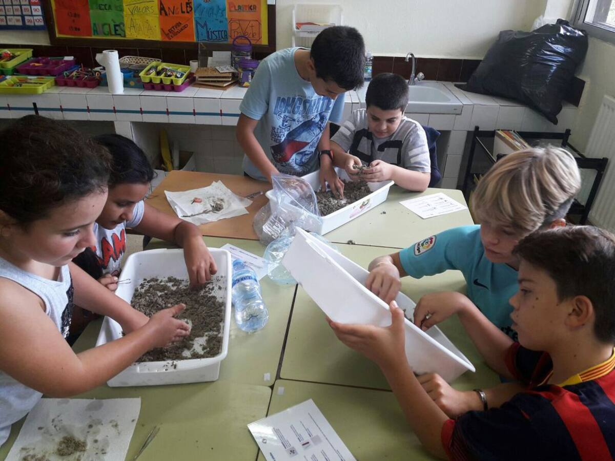 Los docentes dicen que se debería contratar a 200 profesores más en las Pitiusas para el nuevo curso