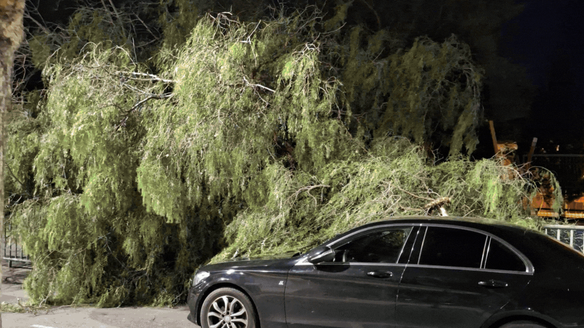 Los Bomberos de Consorcio Provincial de Castellón han intervenido en 18 incidentes relacionados con el viento durante la noche