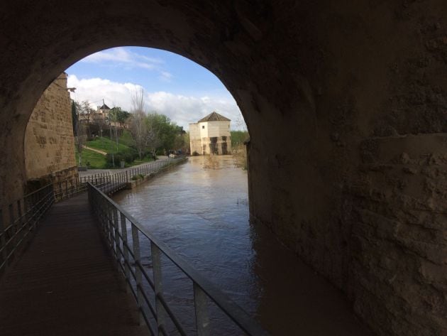 El Guadalquivir bajo el Puente Romano