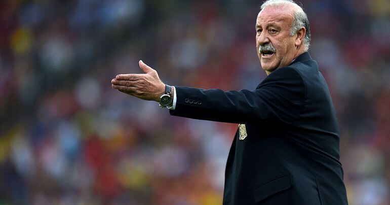 Del Bosque, durante un partido de la selección española