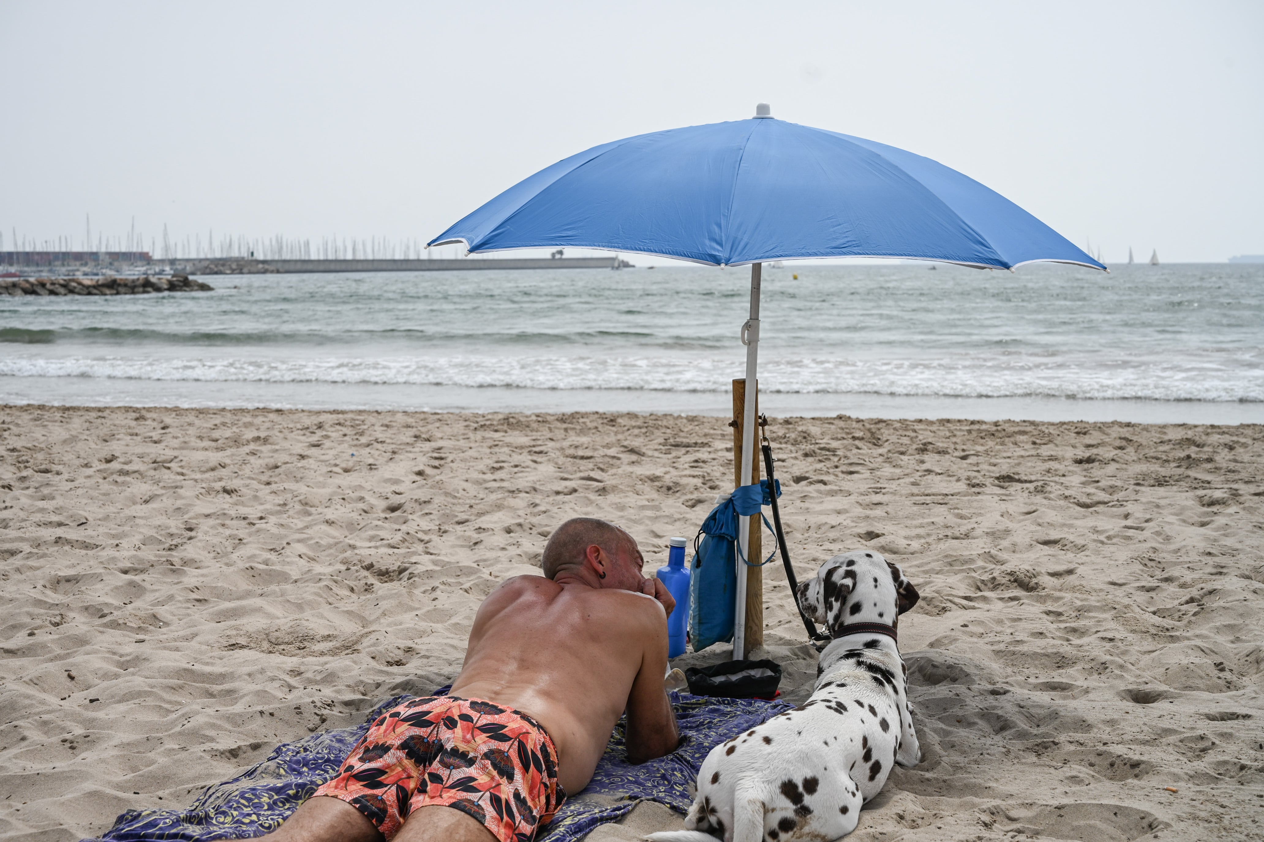 Imagen de archivo de una persona tomando el sol junto a su perro