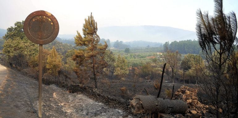 Paraje quemado el pasado agosto en el incendio